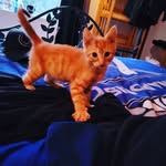 John Hooven - @john_p_hoovdog - Instagram