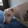 John Hopper - @john.hopper43 - TikTok