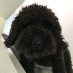 John Horler - @horlerjohn - Instagram