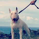 John Horton - @john.keeping.on - Instagram