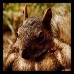 John Hottinger - @awsomejon - Instagram