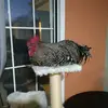 John Hottinger - @johnhottinger_5268 - TikTok