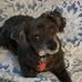 John Householder - Facebook