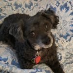 John Householder - @householderjohn - Instagram