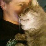 Patrick John Householder - @curvypip - Instagram