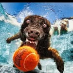 John Hover - @pokerplayer4150 - Instagram