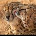 John Howden - Facebook