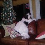 John Howden - @howdenjohn16 - Instagram