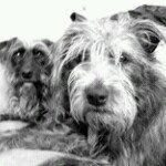 John Hubbs - @jackmongrel - Instagram