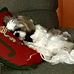 John Hubbs - Facebook