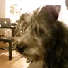 johnhubbs - @johnhubbs - TikTok