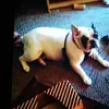 John Huff - @john.huff86 - TikTok