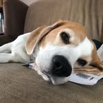 John Huhn - @johnhuhn6 - Instagram