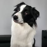 John Attend Hulin - @johnattend2107 - Instagram