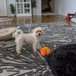 John Hulley - @hulley_john - Instagram