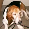 john hullinger - @john.hullinger - TikTok