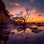John Hulsbosch - @johnhulsbosch - Instagram