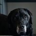 John Hulse - Facebook