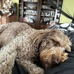 John Humbert - @john.humbert.39 - Instagram