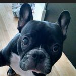 John Hurlocker - @johnhurlocker - Instagram