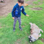 John Hurrell - @hurrell8025 - Instagram