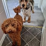 John Hurst - @john.hurst.52035 - Instagram
