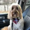 John Hurwitz - @johnhurwitz - TikTok