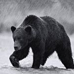 John Hyde - @wild_things_photos - Instagram