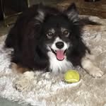John Hyett - @john.hyett.37 - Instagram