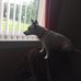 John Hynd - Facebook