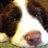 John Hynd - @johnhynd62 - TikTok