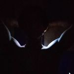 John Bronzon Hyndman - @itssbronzyy - Instagram