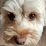 John Hynds - @wattswade99 - Instagram