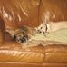 John Iaciofano - Facebook