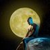 Anzan John - Facebook