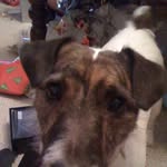 John I'Anson - @john.ianson.5 - Instagram