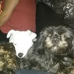 john patrick - @john.ianson125 - Instagram