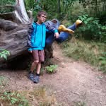 John ibellini - @john_ibellini - Instagram