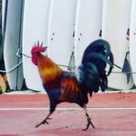 @john_ide - Instagram