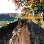 John - @john_illingworth - Instagram