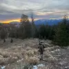 john_immons - @john_immons - TikTok