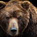 John Imming - Facebook