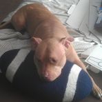 John Infantino - Facebook