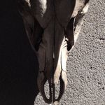 John Ingham - @gojohnnnygogogogo - Instagram