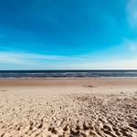 John Ingold - @ingoldncsu - Instagram