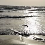 John Ioannou - @john.ioannou.7106 - Instagram