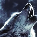 John Issel - @john.issel - Instagram