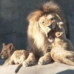John Iverson - @iverson6516 - Instagram