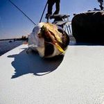John Iverson - @johniverson3210 - Instagram
