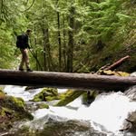 John Ivey - @oppivey - Instagram